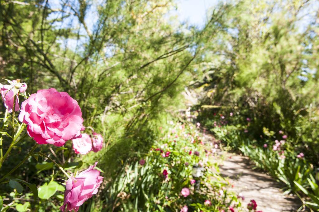 Hotel Rural Biniarroca - Adults Only Sant Lluis Luaran gambar