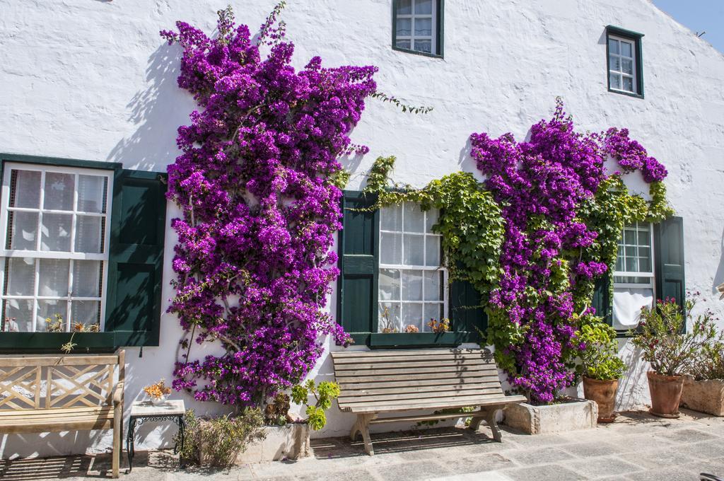 Hotel Rural Biniarroca - Adults Only Sant Lluis Luaran gambar
