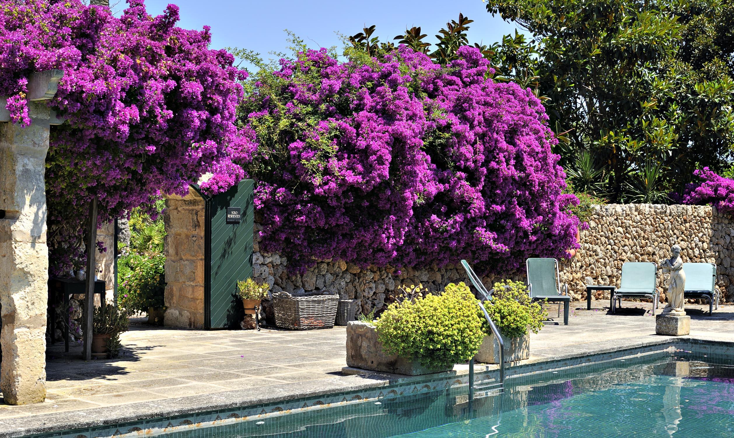 Hotel Rural Biniarroca - Adults Only Sant Lluis Luaran gambar